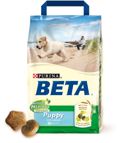 Beta Puppy image