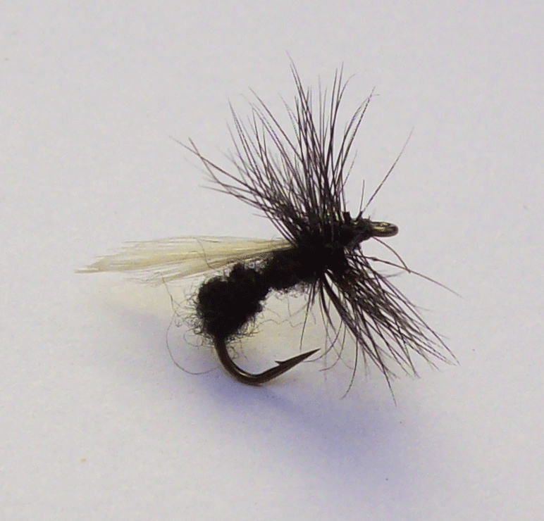 Black Ant Dry Fly