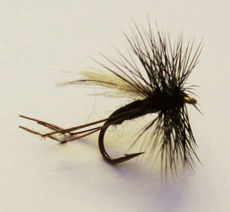 Hawthorn Dry Fly