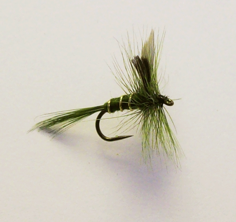Rough Olive Dry Fly